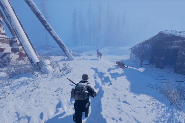 Permafrost