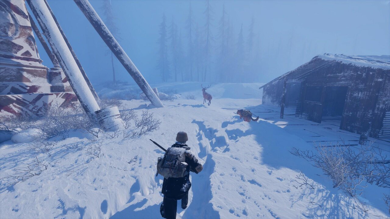 Permafrost
